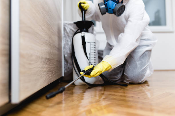 Reliable Westport, WA Pest Control Solutions