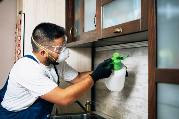 Best Wasp Removal Services  in Westport, WA